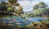 Texas Hill Country Bluebonnets